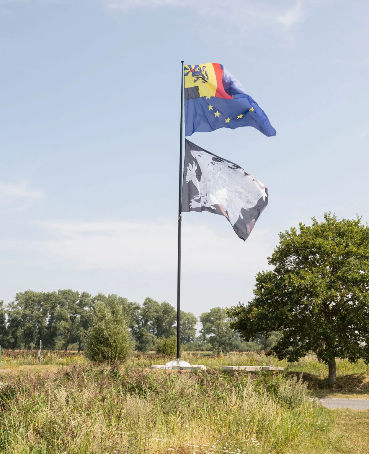 Flag of the World - image 1